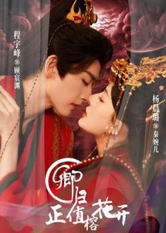免费在线观看《卿归正值榕花开》