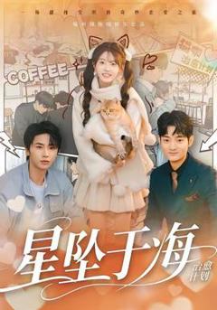 免费在线观看《星坠于海》