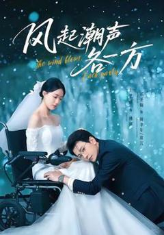 免费在线观看《风起潮声各一方》