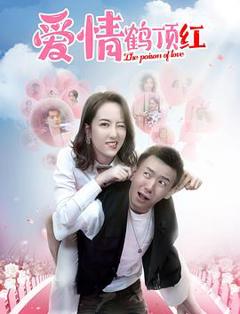 免费在线观看《爱情鹤顶红》
