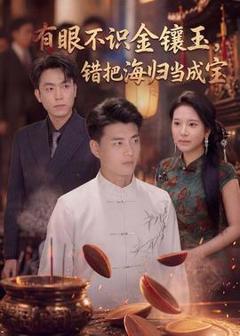 免费在线观看《有眼不识金镶玉错把海归当成宝》