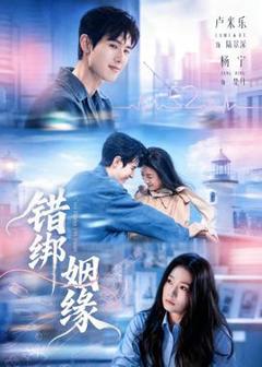 免费在线观看《错绑姻缘》