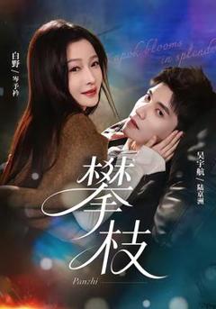 免费在线观看《攀枝》