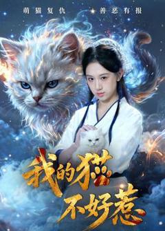 免费在线观看《我的猫不好惹》