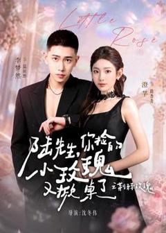 免费在线观看《陆先生，你捡的小玫瑰又掀桌了之荆棘玫瑰》