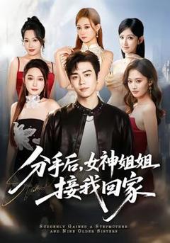 免费在线观看《分手后，女神姐姐接我回家》