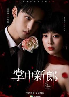 免费在线观看《掌中新郎》