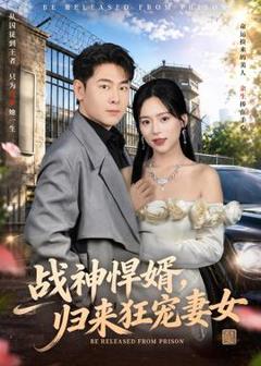 免费在线观看《战神悍婿，归来狂宠妻女》