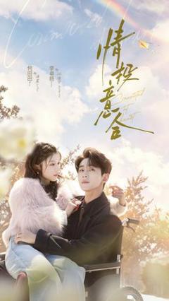 免费在线观看《情投意合》