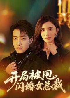 免费在线观看《开局被甩，闪婚女总裁》