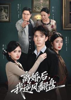 免费在线观看《离婚后，我逆风翻盘》