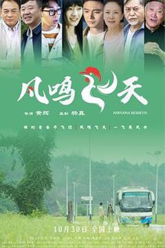 免费在线观看《凤鸣飞天》