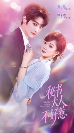 免费在线观看《秘书大人不好惹》