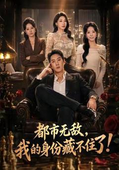 免费在线观看《都市无敌，我的身份藏不住了》