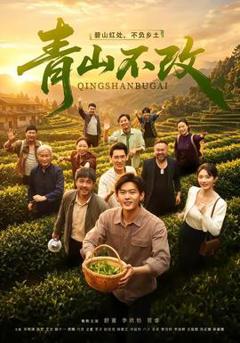 免费在线观看《青山不改》