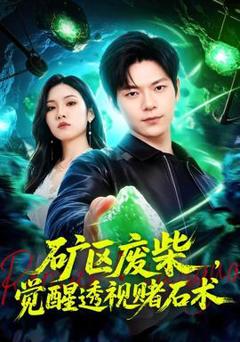 矿区废柴，觉醒透视赌石术