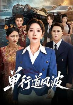免费在线观看《单行道风波》
