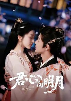 免费在线观看《君心向明月》