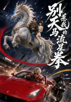 免费在线观看《别惹我的天马流星拳》
