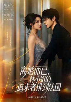 免费在线观看《离婚而已，林小姐的追求者排到法国》