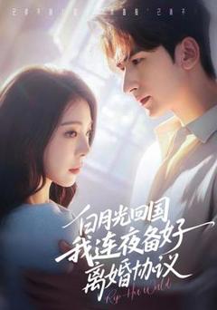 免费在线观看《白月光回国我连夜备好离婚协议》
