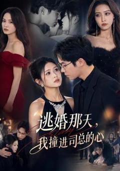 免费在线观看《逃婚那天，我撞进司总的心》