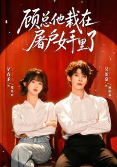 免费在线观看《顾总他栽在屠户女手里了》