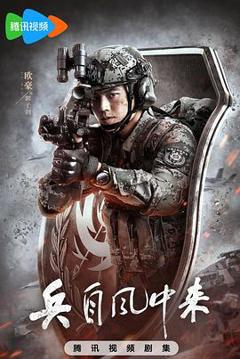 免费在线观看《兵自风中来》
