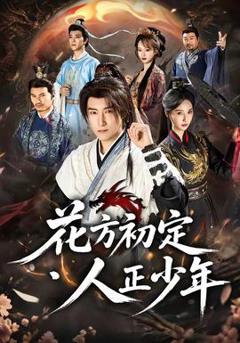 免费在线观看《花方初定，人正少年》