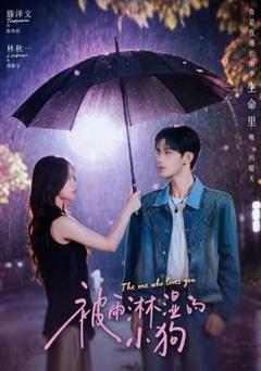 免费在线观看《被雨淋湿的小狗》