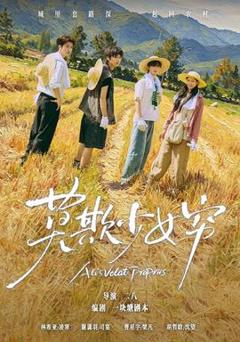 免费在线观看《莫欺少女穷》