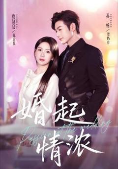 免费在线观看《婚起情浓》