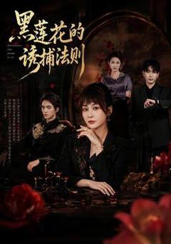免费在线观看《黑莲花的诱捕法则》