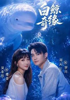 免费在线观看《白鲸奇缘》