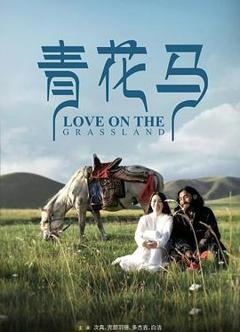 免费在线观看《青花马》